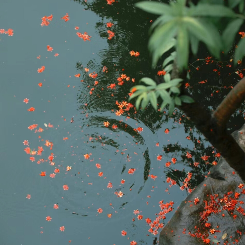 水中花